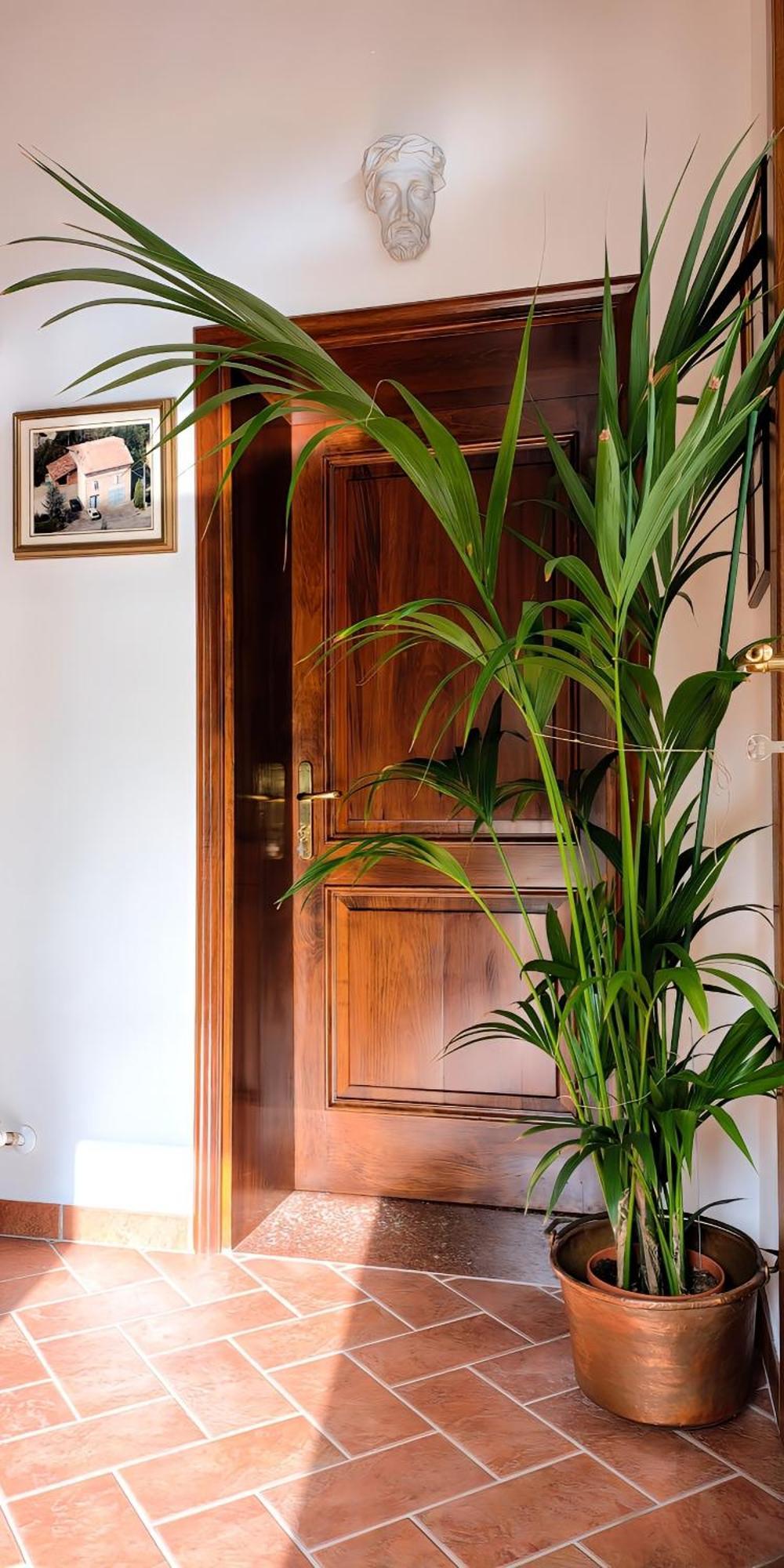 Casa Due Marie Marano Sul Panaro Hotel Ngoại thất bức ảnh